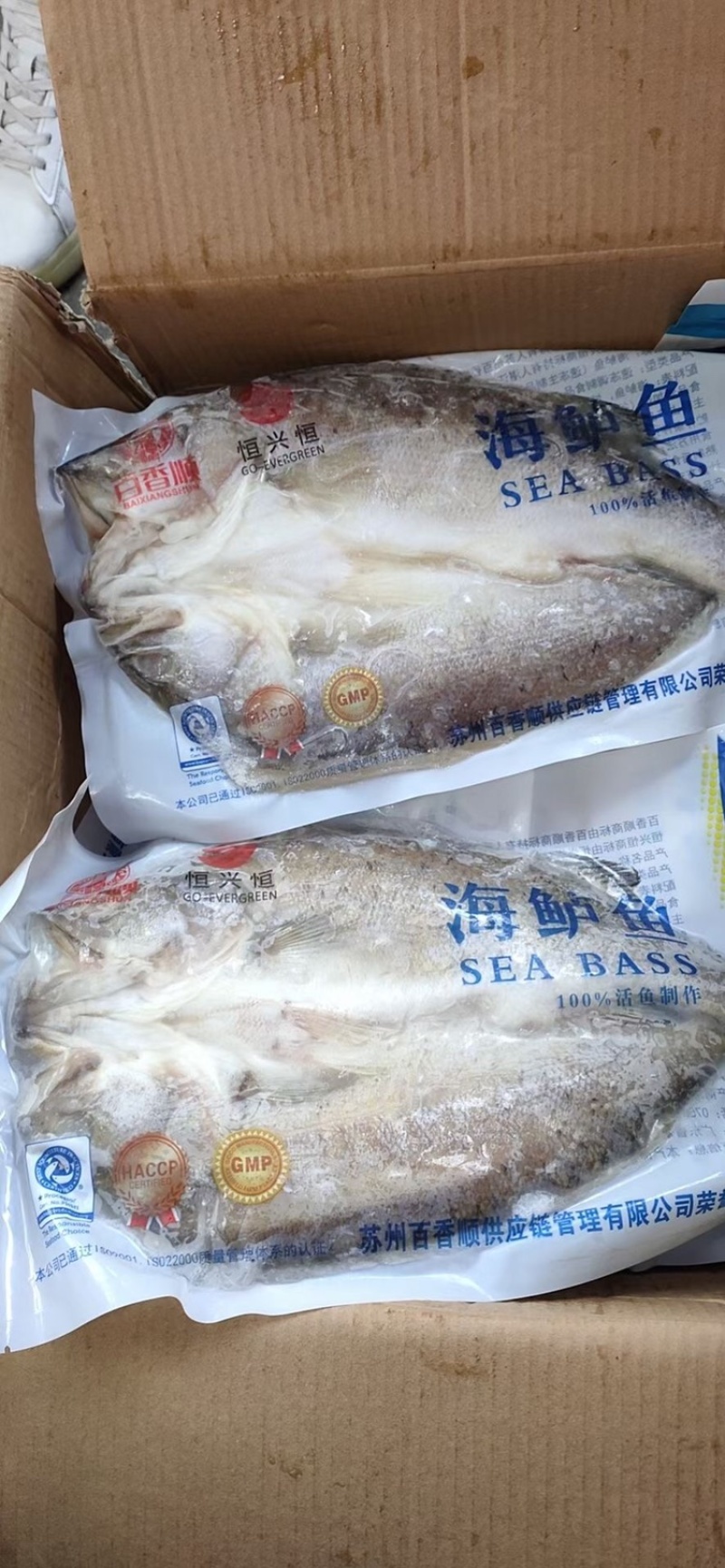 开背腌制调味海鲈鱼，800克到1000克12条，烤鱼专供