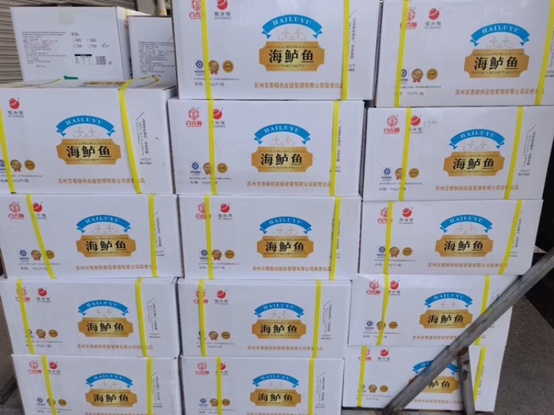 开背腌制调味海鲈鱼，800克到1000克12条，烤鱼专供