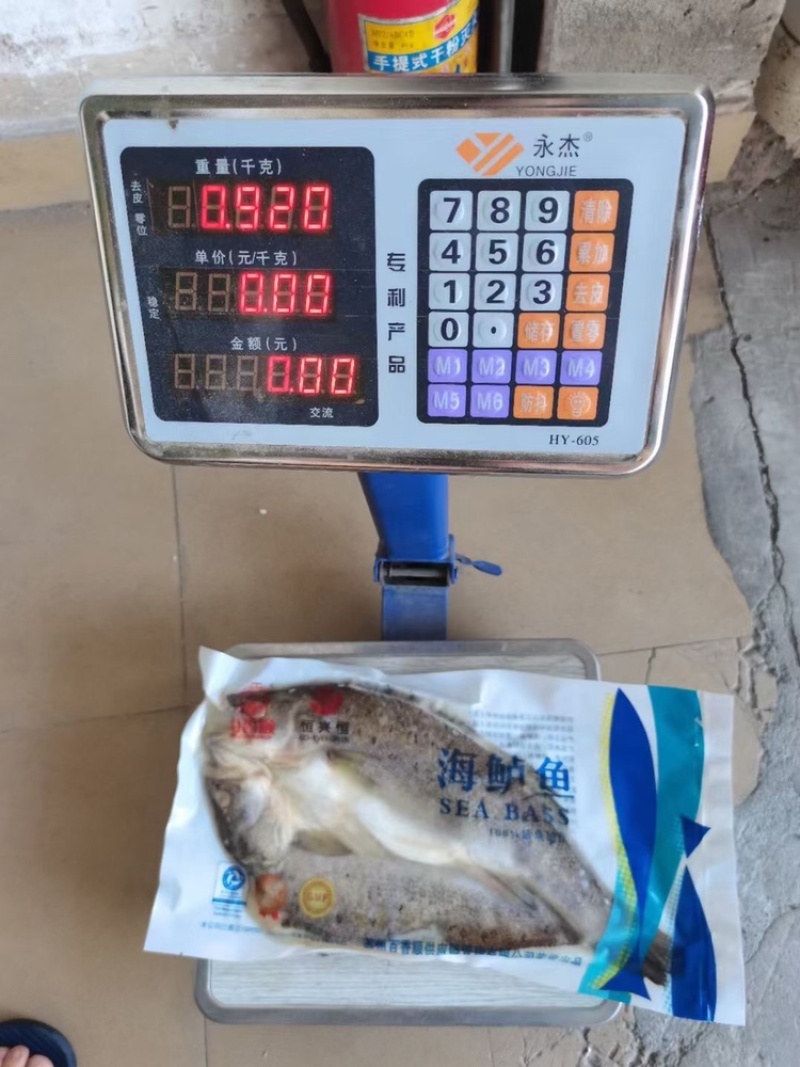 开背腌制调味海鲈鱼，800克到1000克12条，烤鱼专供