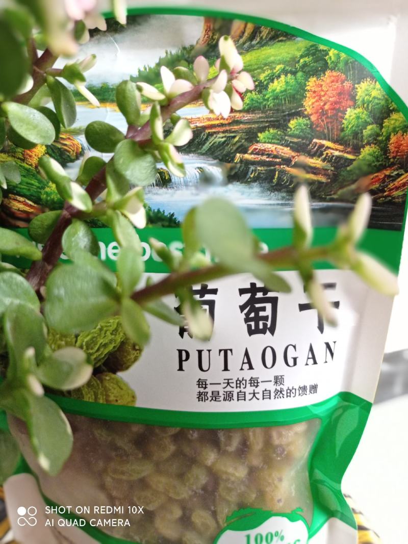 年货节大礼包185核桃绿香妃葡萄干和田大枣椒盐核桃一件代