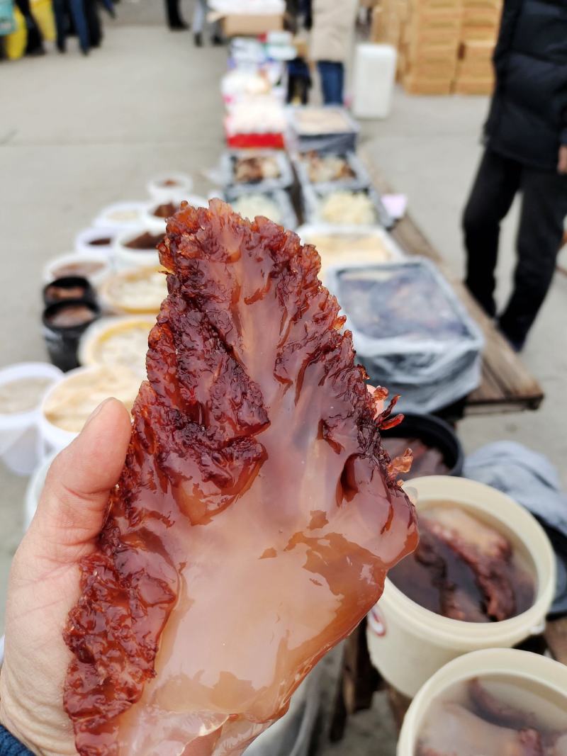 海蜇头！红头单角规格全可视频看货一手货源大量现货供应