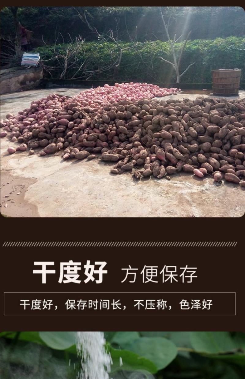 红薯粉淀粉地瓜粉农家手工纯红薯淀粉食用番薯粉红苕粉