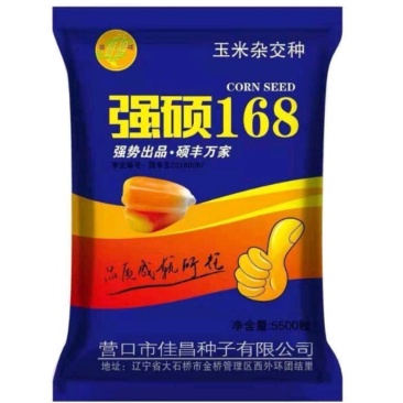 强硕168玉米种厂家正品5500粒