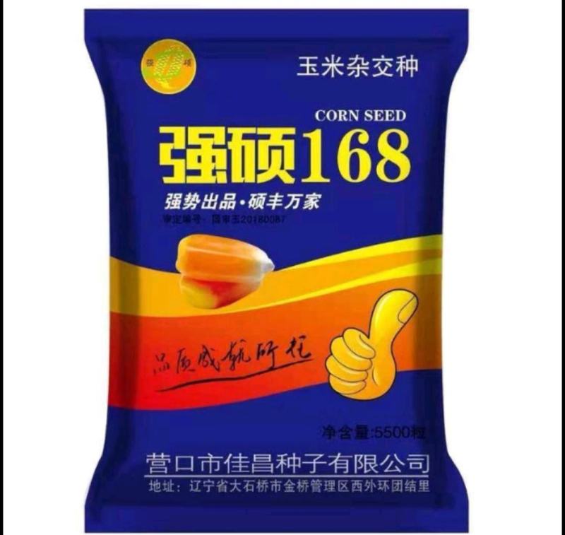 强硕168玉米种厂家正品5500粒