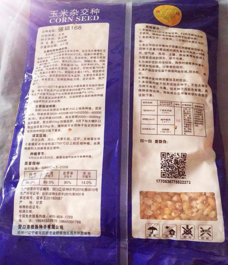 强硕168玉米种厂家正品5500粒