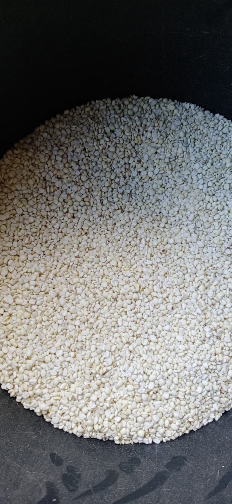 薏米大量有货，云南高原特色农产品