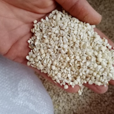 薏米大量有货，云南高原特色农产品