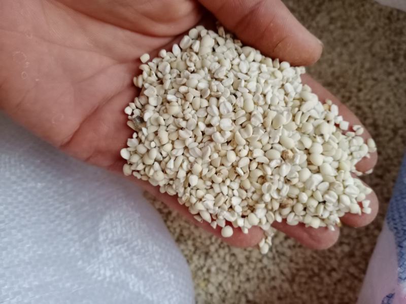 薏米大量有货，云南高原特色农产品