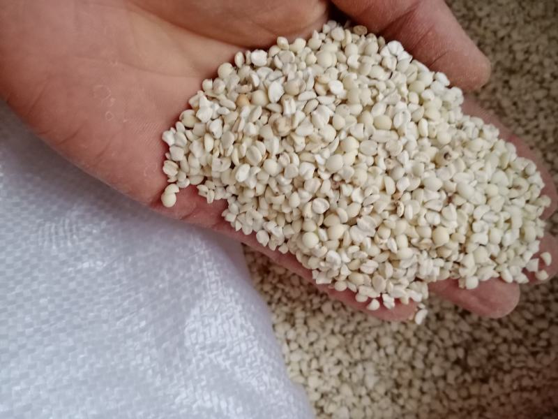 薏米大量有货，云南高原特色农产品