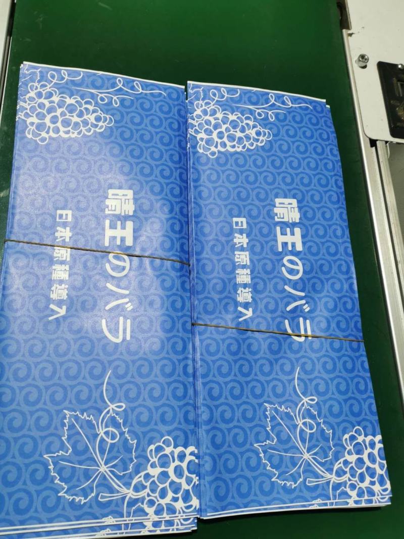 阳光玫瑰包装袋，镭射标，扎丝，纸箱，熟料框