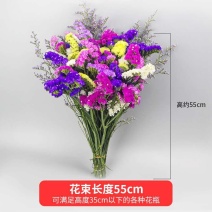 云南勿忘我干花水晶花情人草混搭花束家庭插花地摊展会爆品