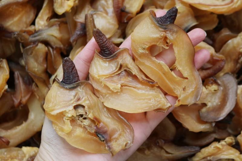 大号螺嘴17头厚肉爽口足干货