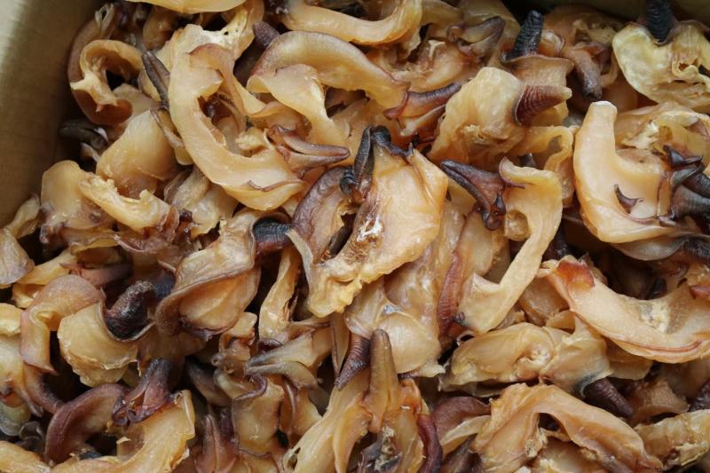 大号螺嘴17头厚肉爽口足干货