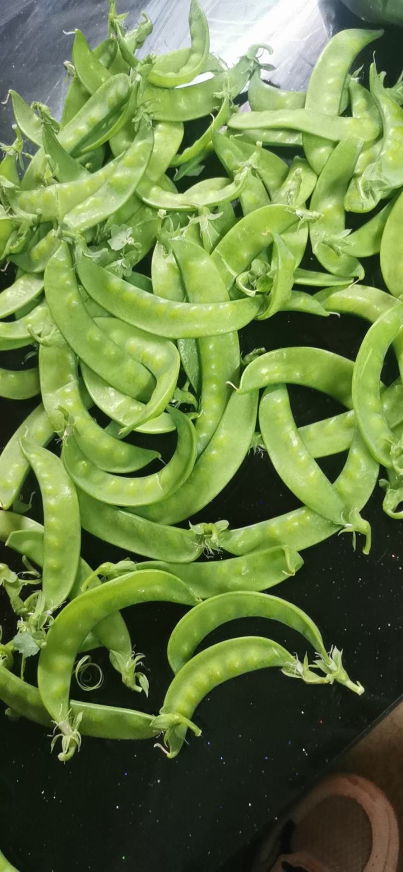 精品荷兰豆精品荷兰豆