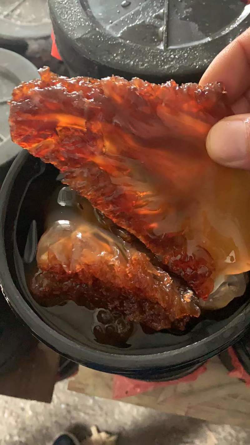 海蜇头，渤海湾绵蜇头，营养丰富，产地直发，大量库存
