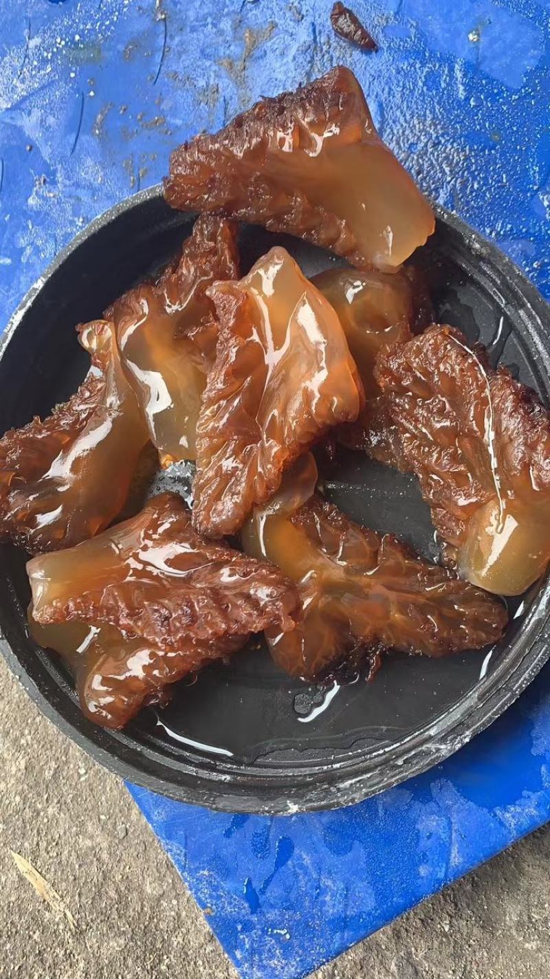 海蜇头，渤海湾绵蜇头，营养丰富，产地直发，大量库存