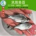 【特价供应】武昌鱼苗团头鲂鱼苗缩项鳊鱼武昌鱼水花