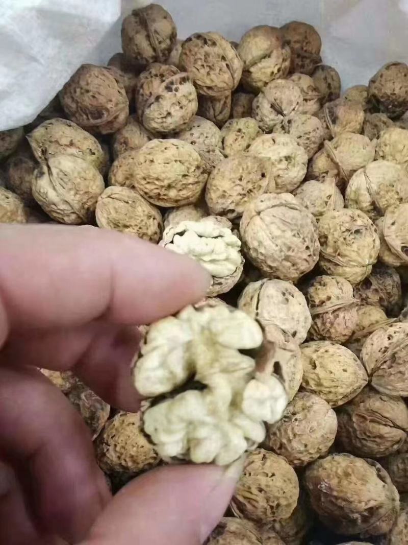 云南老品种核桃麻果核桃纸皮核桃