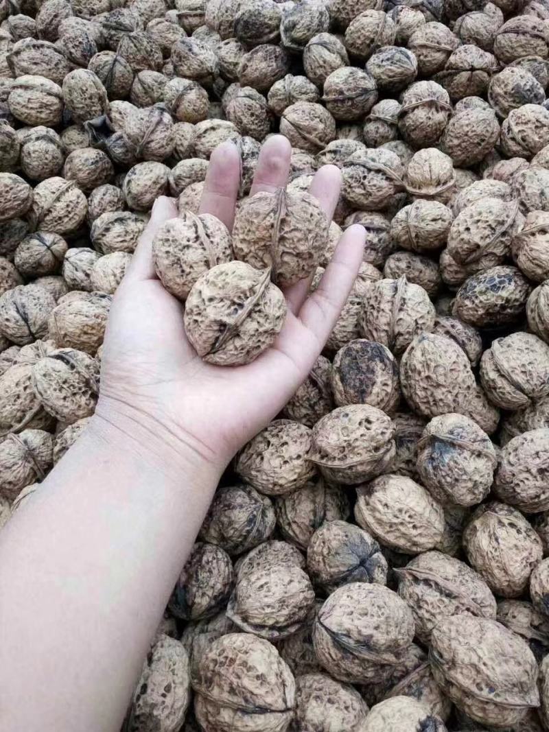 云南老品种核桃麻果核桃纸皮核桃