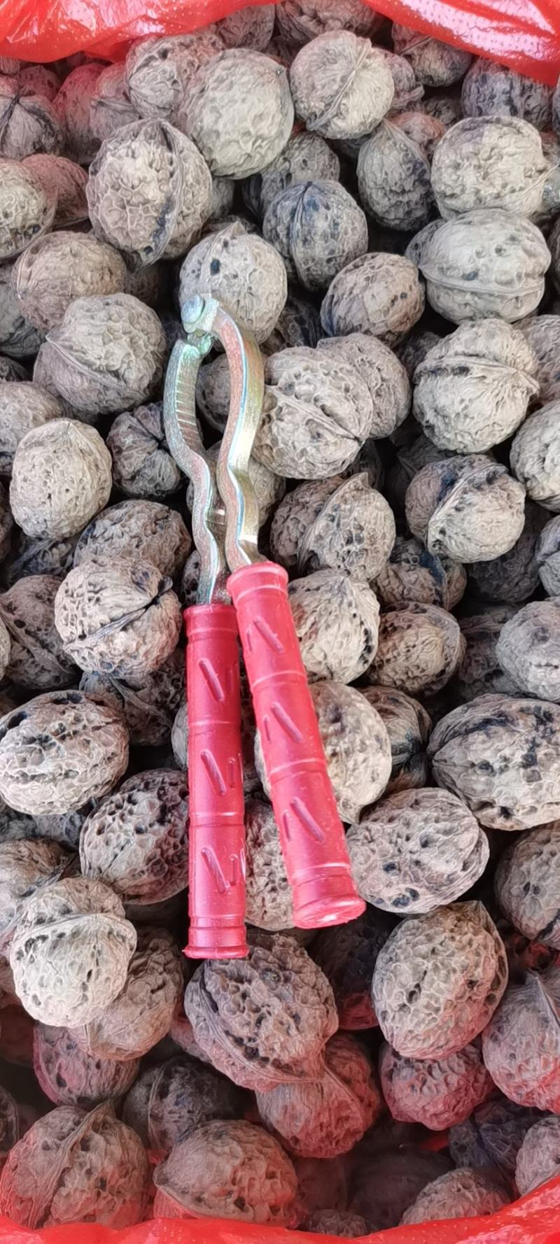 云南老品种核桃麻果核桃纸皮核桃