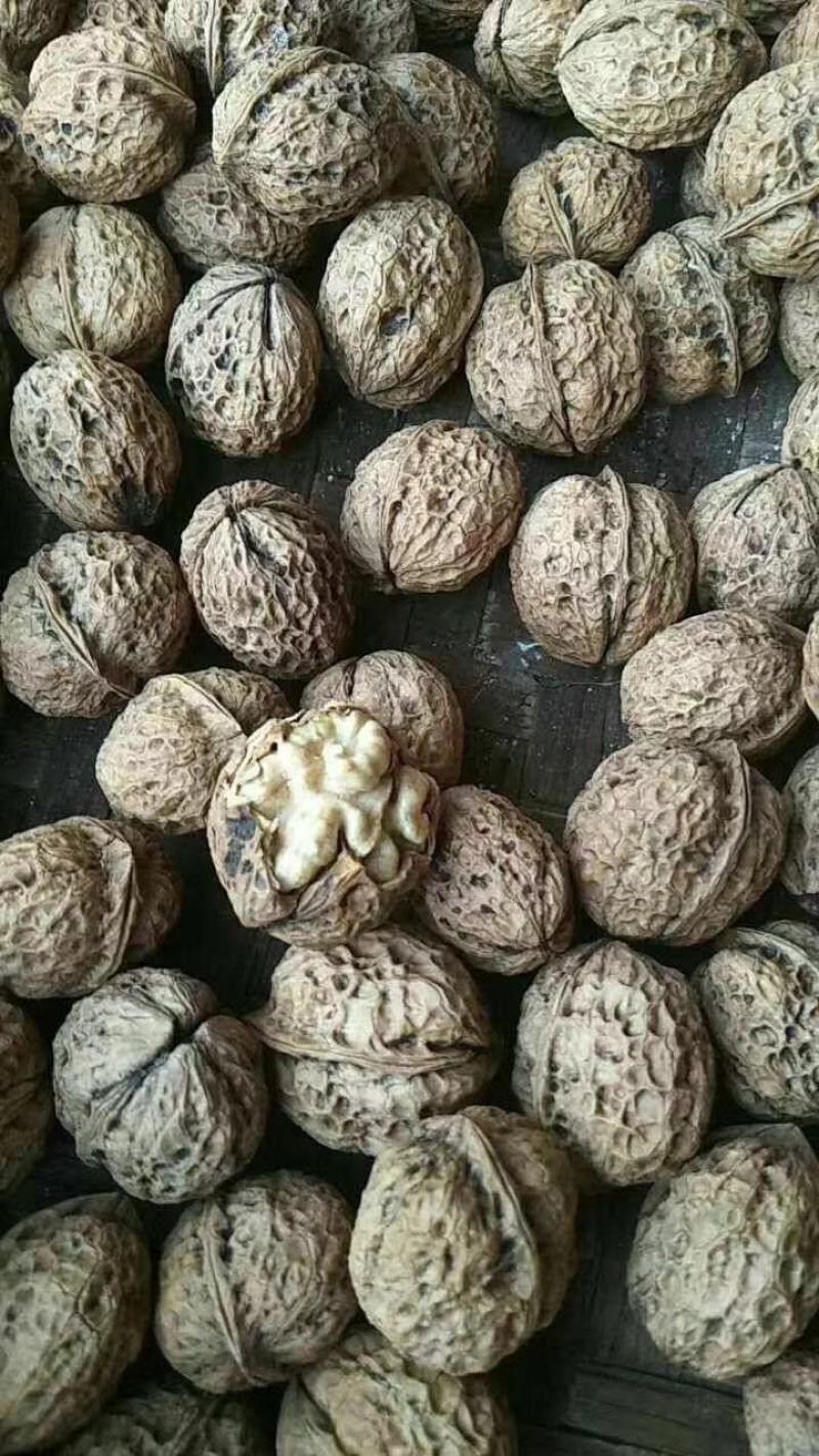 云南老品种核桃麻果核桃纸皮核桃