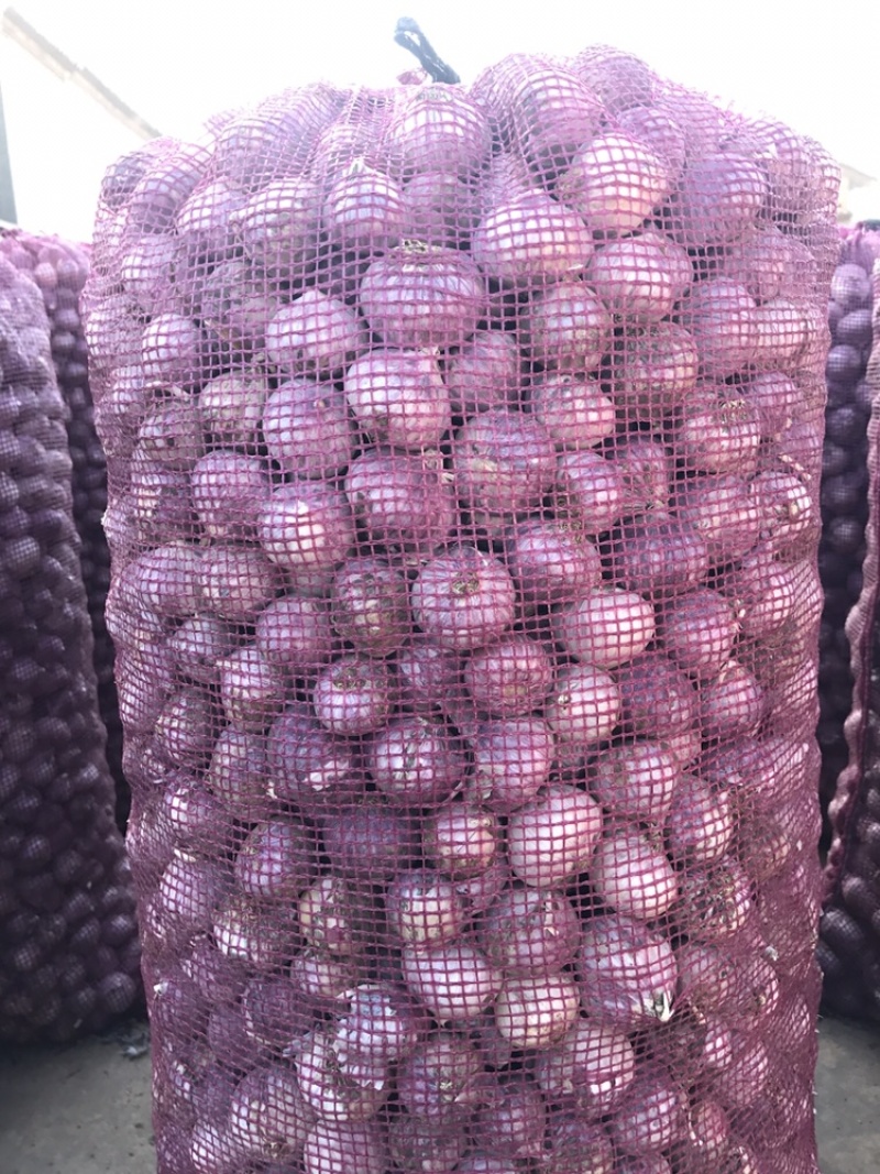 云南红皮大蒜，独头蒜，多瓣蒜