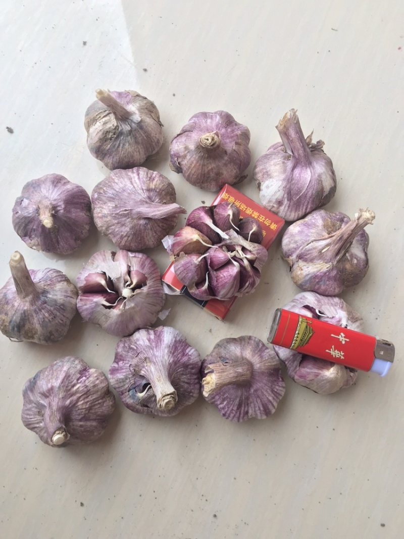 云南红皮大蒜，独头蒜，多瓣蒜