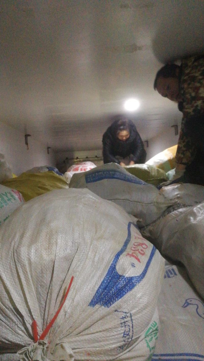 湖南怀化金竹精品黄泥冬笋购销中心