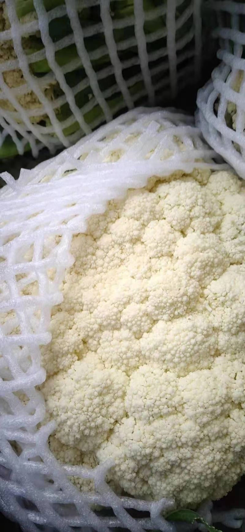 河南开封优质有机花菜