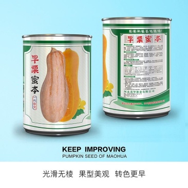 早栗蜜本南瓜种子，早熟瓜肉橙红，甜面可口，肉厚水分少