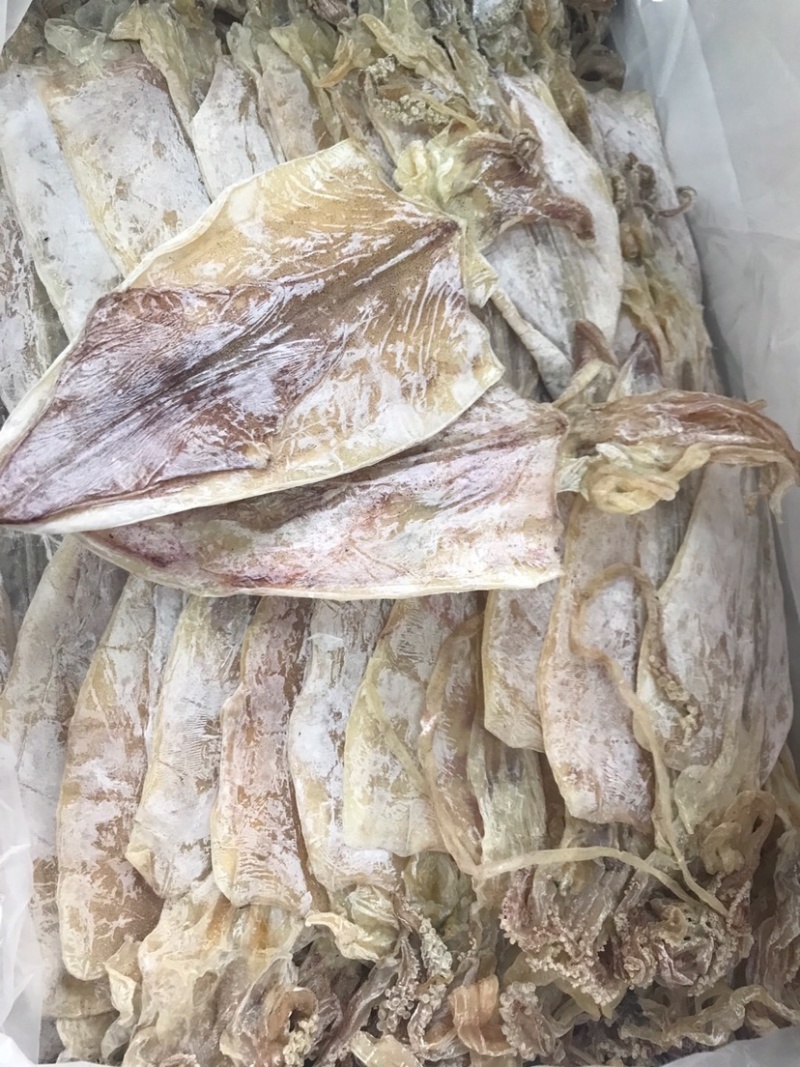烧烤鱿鱼干规格齐全整件起批发量大优惠规格齐全长期供应