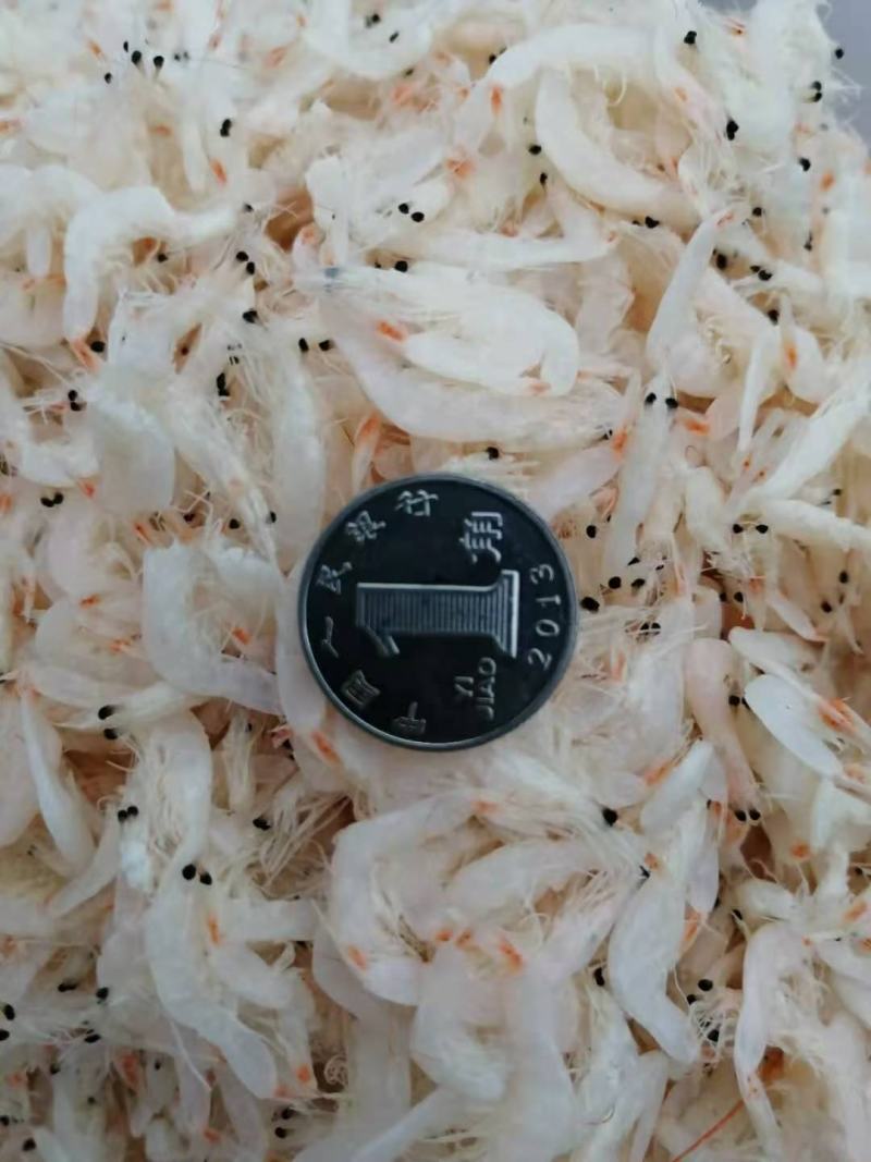 山东沾化渤海湾无盐虾皮大量上市欢迎各位老板咨询量大货好
