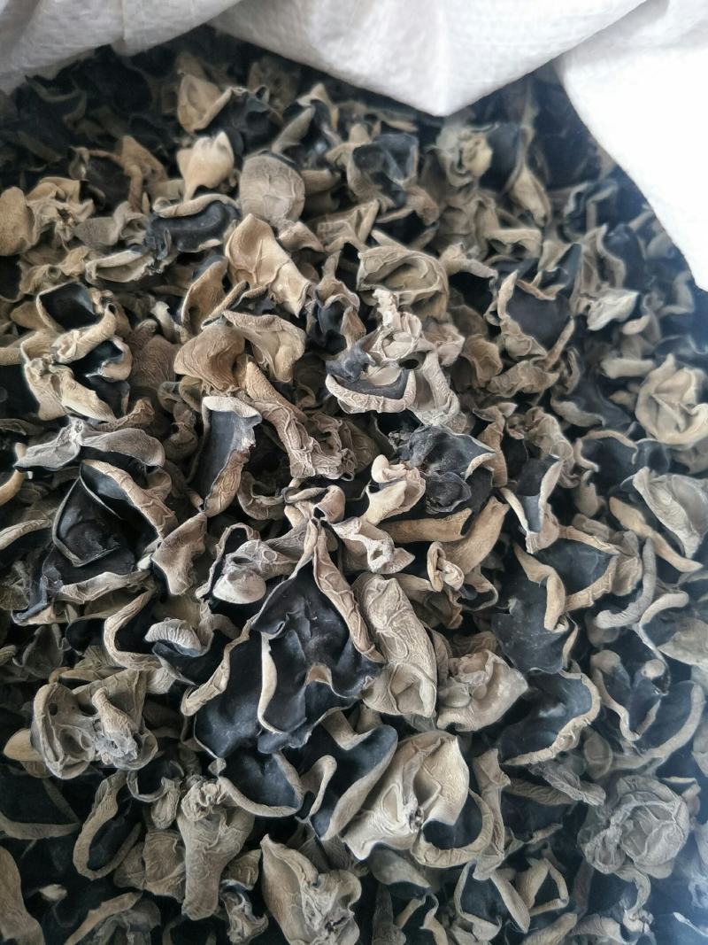 东北黑木耳，无污染，无掺假，纯好木耳，卖良心木耳