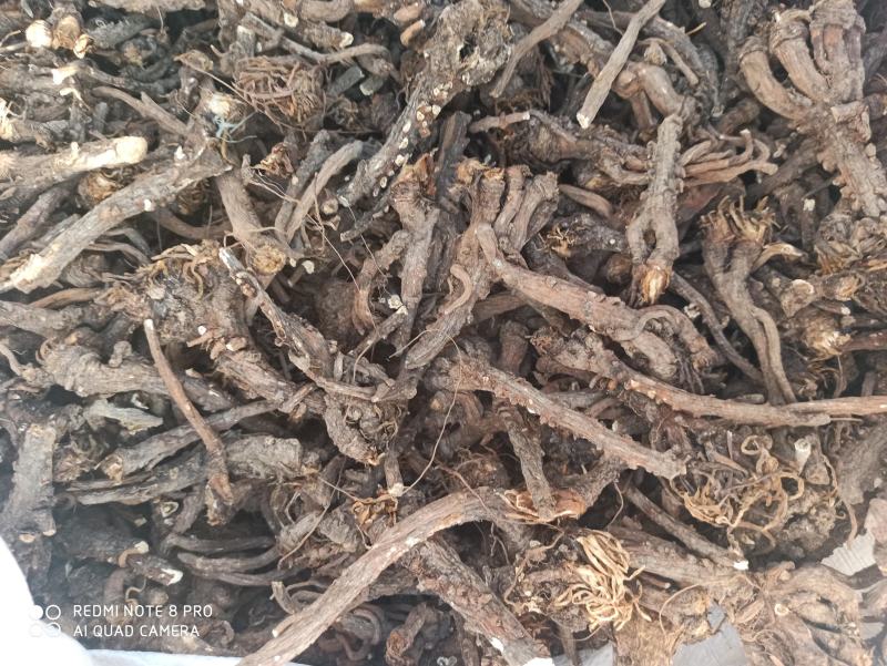 蒲公英根纯净无杂质中药专营品质保证