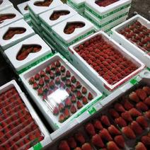 草莓奶油草莓甜宝草莓