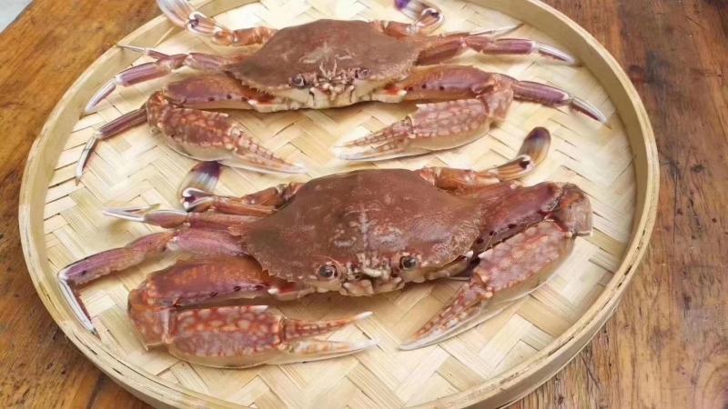 东山本港肉蟹，活冻蟹