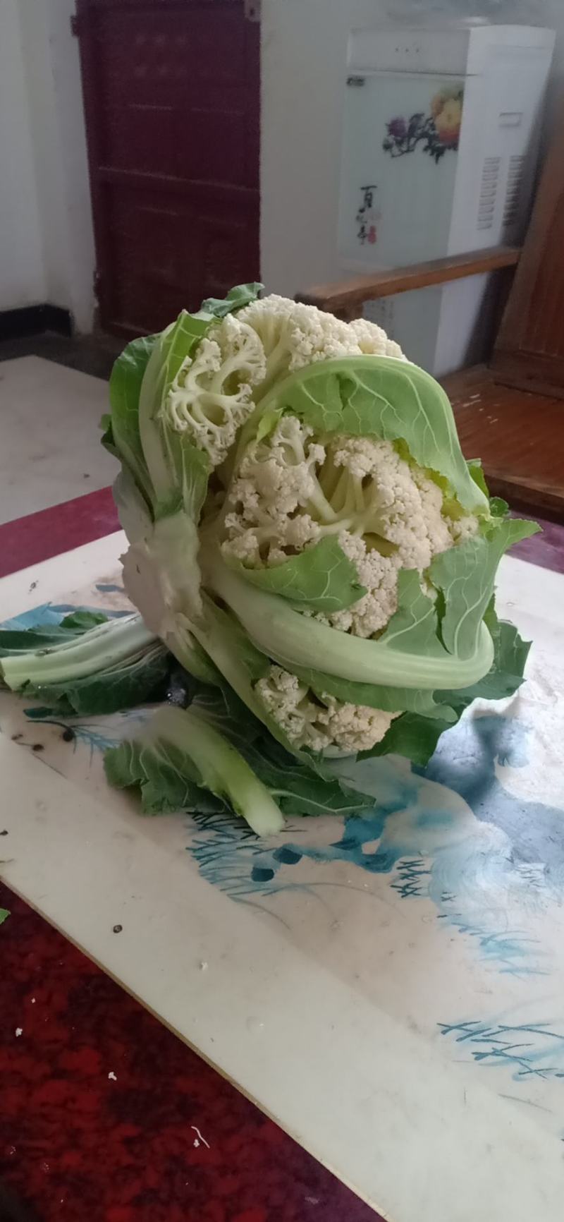 我们经营有机花大量上市