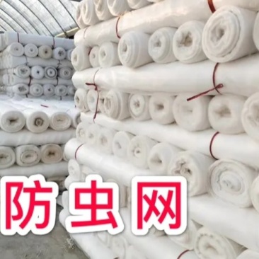 新材质防虫网《PE聚乙烯抗暴晒》最低5年起步耐用