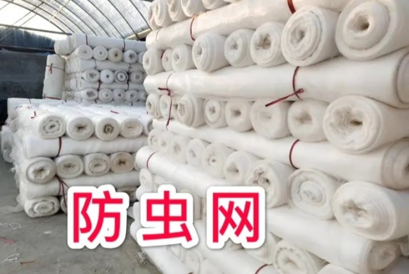 新材质防虫网《PE聚乙烯抗暴晒》最低5年起步耐用