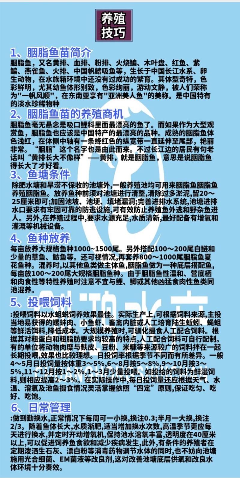 苗场直供胭脂鱼苗亚洲美人鱼苗火烧鳊鱼苗淡水养殖