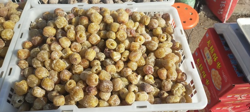 稷山干蜜枣稷山软蜜枣