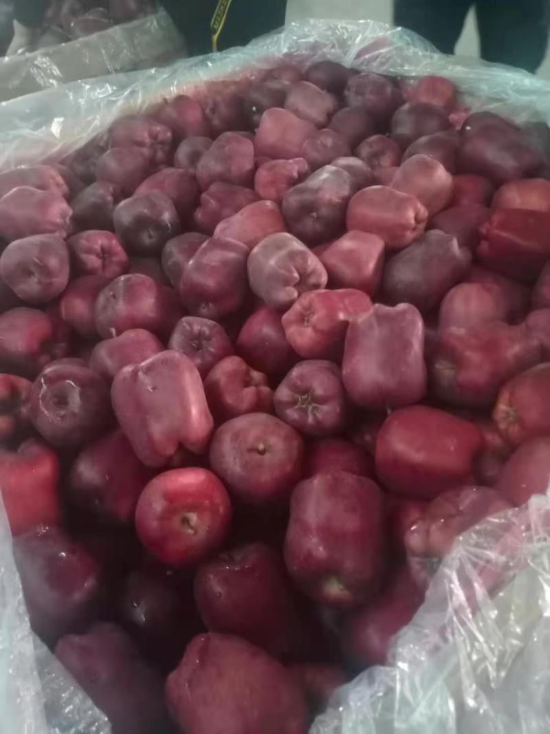 甘肃天水花牛苹果冷库大量现货产地全品类供应！