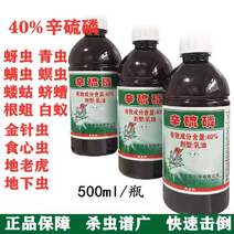 山东埃森40%辛硫磷乳油蚜虫食心虫杀虫剂土壤灌根5ml