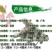 苗场直供胭脂鱼苗亚洲美人鱼苗火烧鳊鱼苗淡水养殖