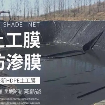 全新全黑膜料聚乙烯抗老化《寿命长》耐用土工膜鱼塘防渗膜