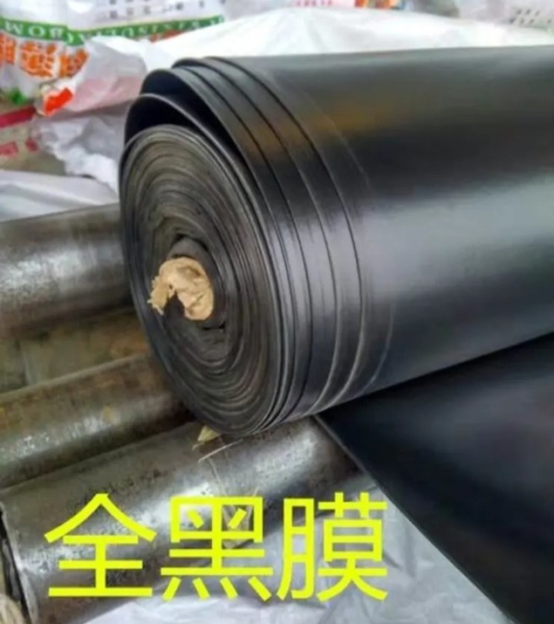 全新全黑膜料聚乙烯抗老化《寿命长》耐用土工膜鱼塘防渗膜