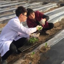 地膜瓜果蔬菜专用膜农用黑白相间双白单白地膜除草膜