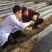 地膜瓜果蔬菜专用膜农用黑白相间双白单白地膜除草膜