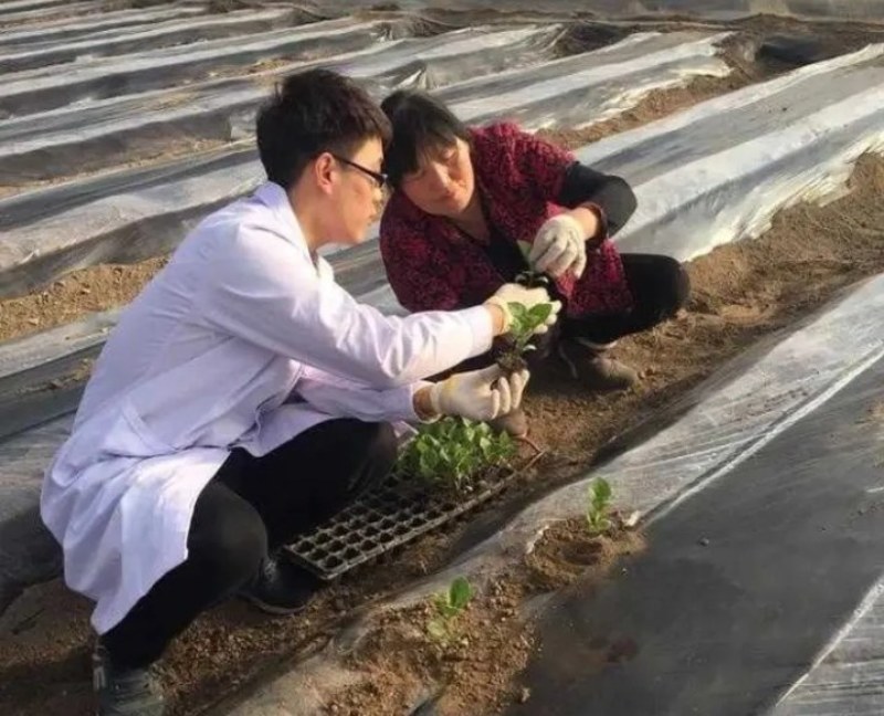地膜瓜果蔬菜专用膜农用黑白相间双白单白地膜除草膜