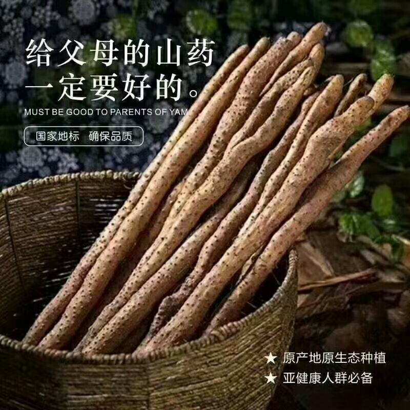 温县正宗铁棍山药红皮锈斑棒山药50-80长支持各种包装